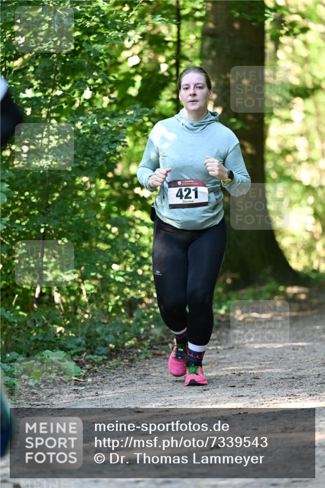 06.10.2024 - Bramfelder Halbmarathon 2024 Dr. Thomas Lammeyer http://msf.ph/oto/7339543 06.10.2024 10:34:29 Laufen 421 meine-sportfotos.de