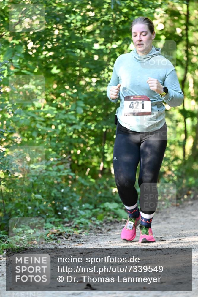 06.10.2024 - Bramfelder Halbmarathon 2024 Dr. Thomas Lammeyer http://msf.ph/oto/7339549 06.10.2024 10:34:30 Laufen 421 meine-sportfotos.de