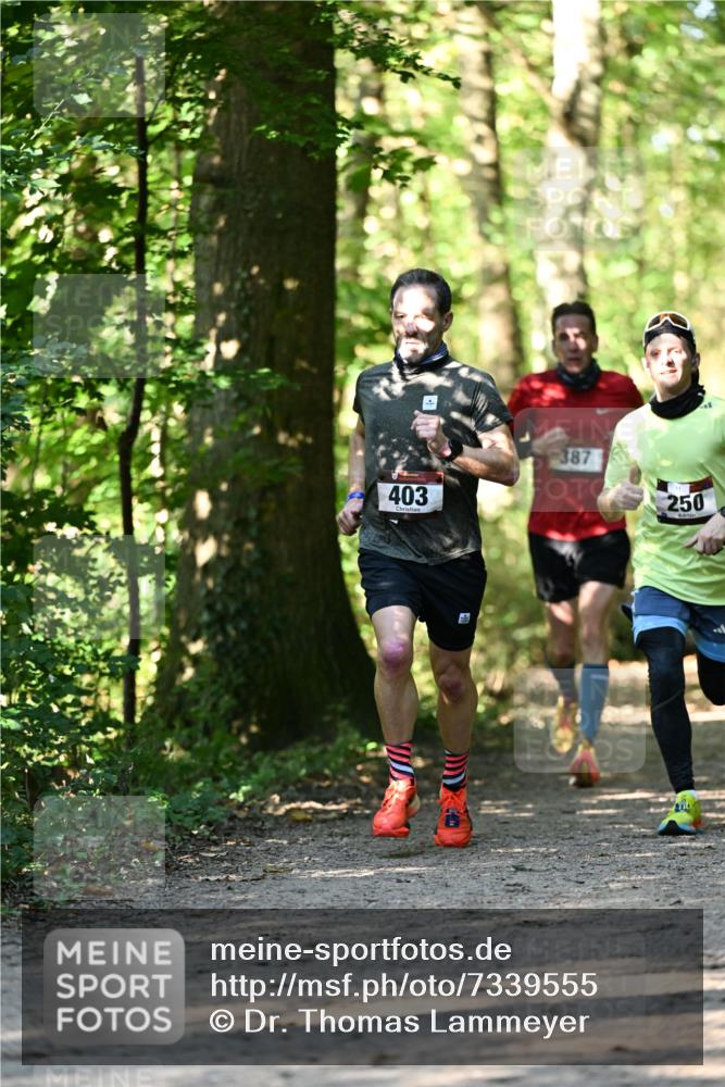 06.10.2024 - Bramfelder Halbmarathon 2024 Dr. Thomas Lammeyer http://msf.ph/oto/7339555 06.10.2024 10:34:40 Laufen 403, 387, 250 meine-sportfotos.de