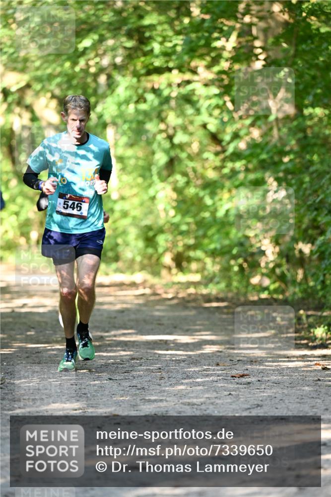 06.10.2024 - Bramfelder Halbmarathon 2024 Dr. Thomas Lammeyer http://msf.ph/oto/7339650 06.10.2024 10:36:16 Laufen 546 meine-sportfotos.de