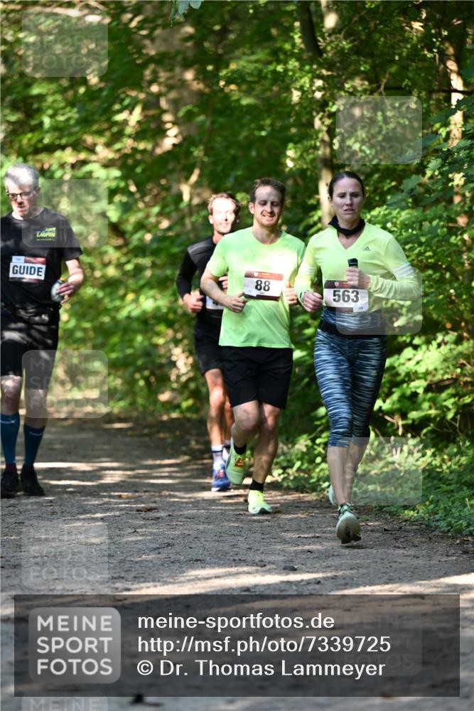 06.10.2024 - Bramfelder Halbmarathon 2024 Dr. Thomas Lammeyer http://msf.ph/oto/7339725 06.10.2024 10:36:48 Laufen 88, 563, 29 meine-sportfotos.de