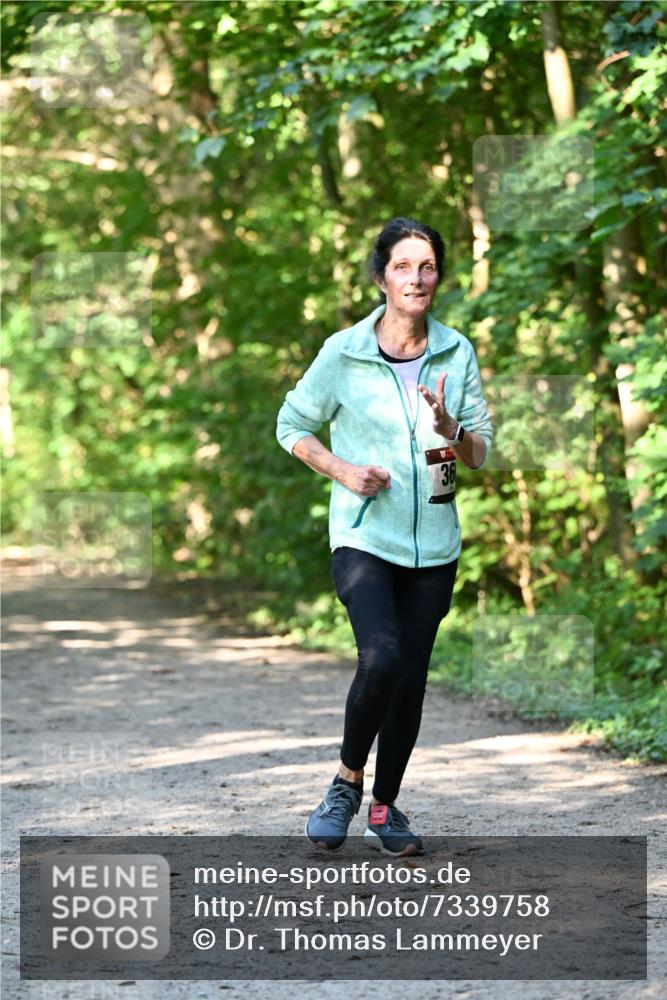 06.10.2024 - Bramfelder Halbmarathon 2024 Dr. Thomas Lammeyer http://msf.ph/oto/7339758 06.10.2024 10:36:58 Laufen 36 meine-sportfotos.de