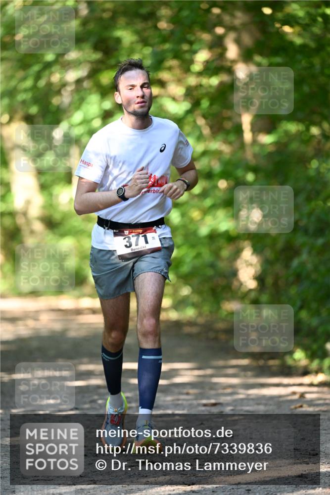 06.10.2024 - Bramfelder Halbmarathon 2024 Dr. Thomas Lammeyer http://msf.ph/oto/7339836 06.10.2024 10:38:57 Laufen 371 meine-sportfotos.de