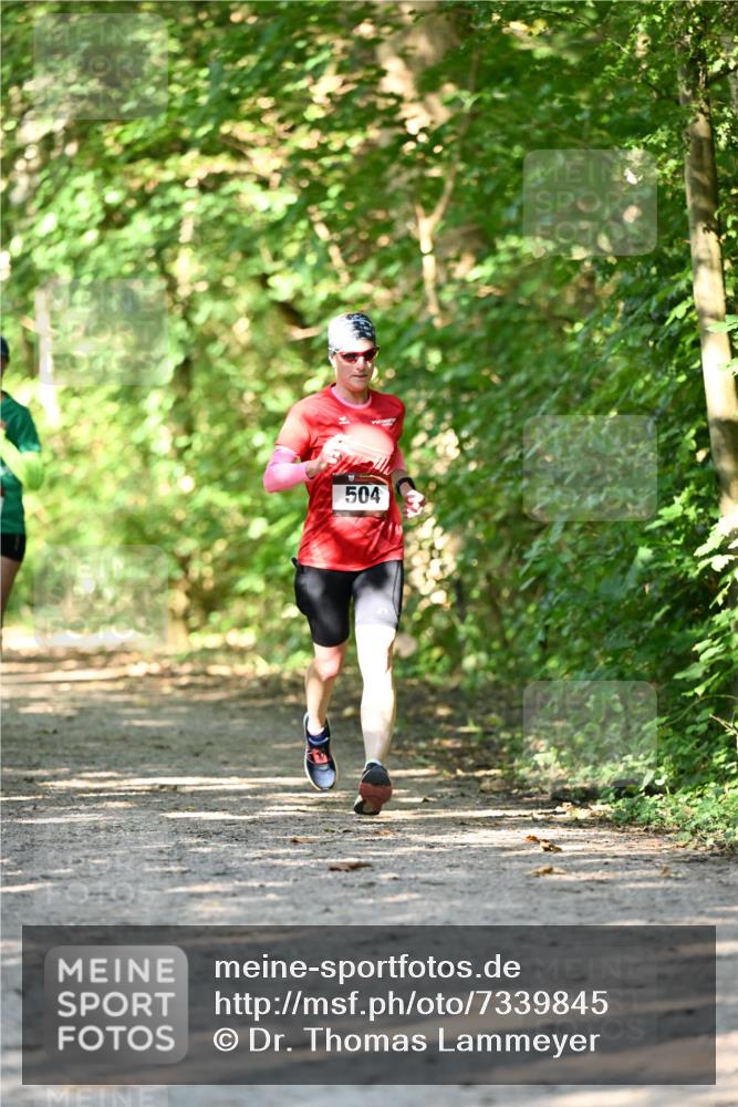 06.10.2024 - Bramfelder Halbmarathon 2024 Dr. Thomas Lammeyer http://msf.ph/oto/7339845 06.10.2024 10:39:10 Laufen 504 meine-sportfotos.de