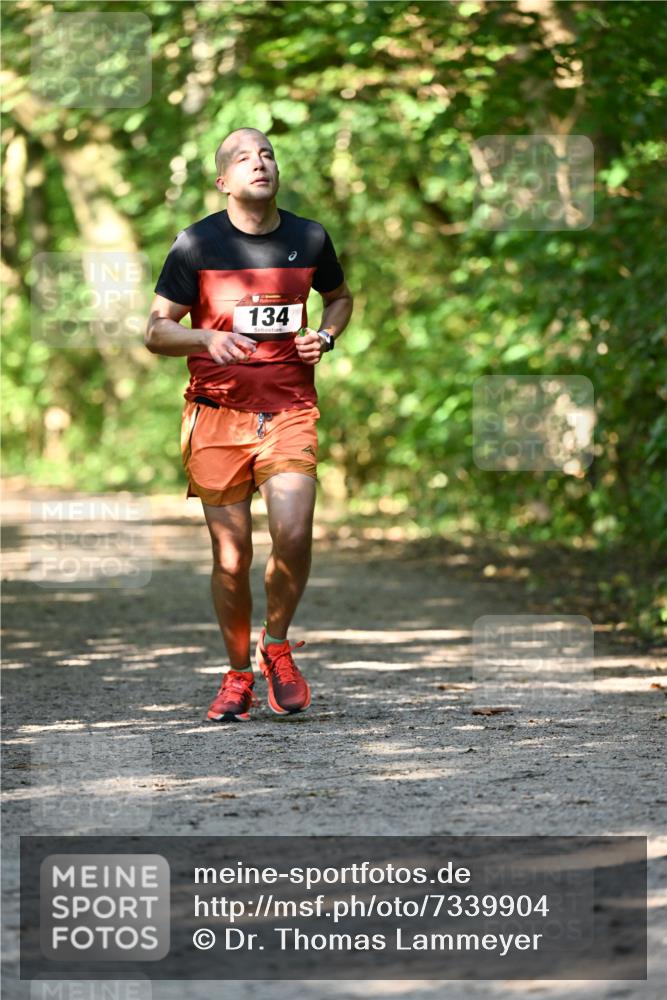 06.10.2024 - Bramfelder Halbmarathon 2024 Dr. Thomas Lammeyer http://msf.ph/oto/7339904 06.10.2024 10:40:10 Laufen 134 meine-sportfotos.de