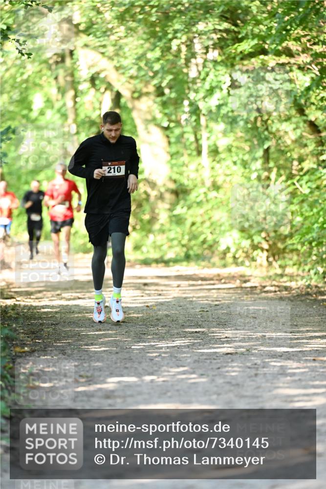 06.10.2024 - Bramfelder Halbmarathon 2024 Dr. Thomas Lammeyer http://msf.ph/oto/7340145 06.10.2024 10:41:58 Laufen 210 meine-sportfotos.de