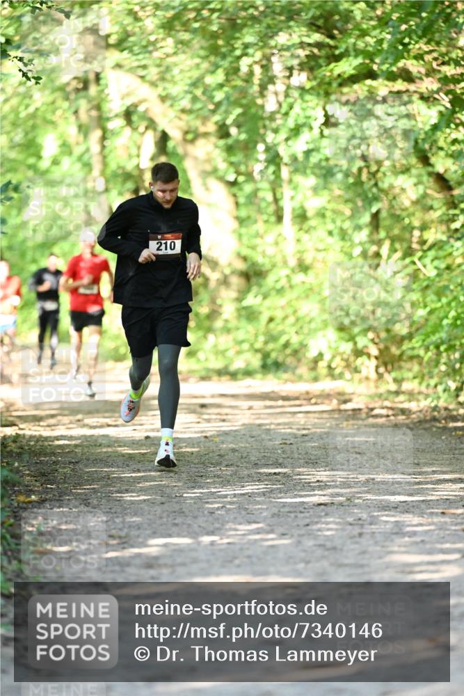 06.10.2024 - Bramfelder Halbmarathon 2024 Dr. Thomas Lammeyer http://msf.ph/oto/7340146 06.10.2024 10:41:58 Laufen 210 meine-sportfotos.de
