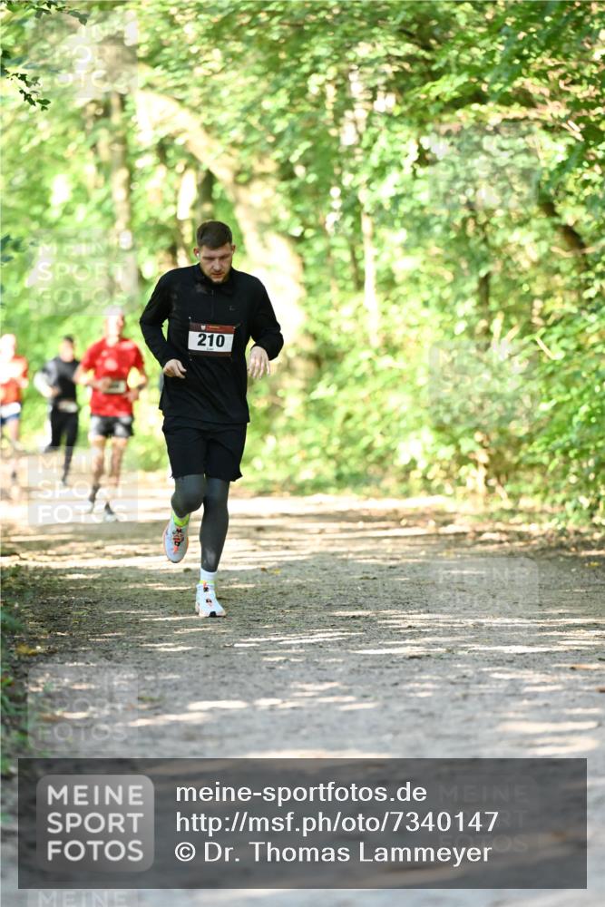06.10.2024 - Bramfelder Halbmarathon 2024 Dr. Thomas Lammeyer http://msf.ph/oto/7340147 06.10.2024 10:41:58 Laufen 210 meine-sportfotos.de