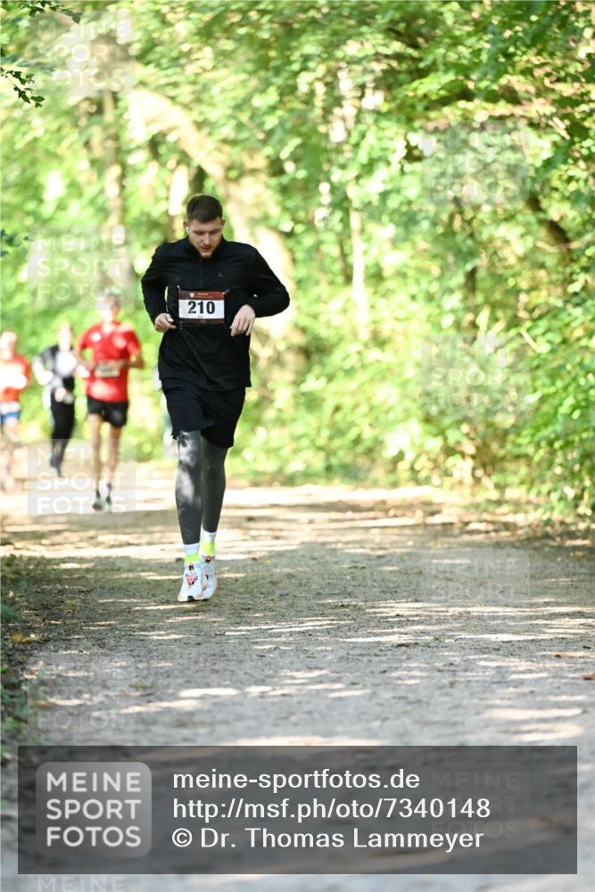 06.10.2024 - Bramfelder Halbmarathon 2024 Dr. Thomas Lammeyer http://msf.ph/oto/7340148 06.10.2024 10:41:58 Laufen 210 meine-sportfotos.de