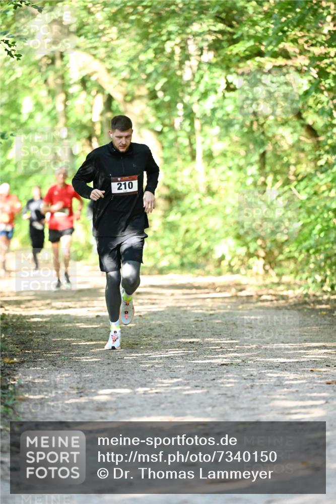 06.10.2024 - Bramfelder Halbmarathon 2024 Dr. Thomas Lammeyer http://msf.ph/oto/7340150 06.10.2024 10:41:58 Laufen 210 meine-sportfotos.de