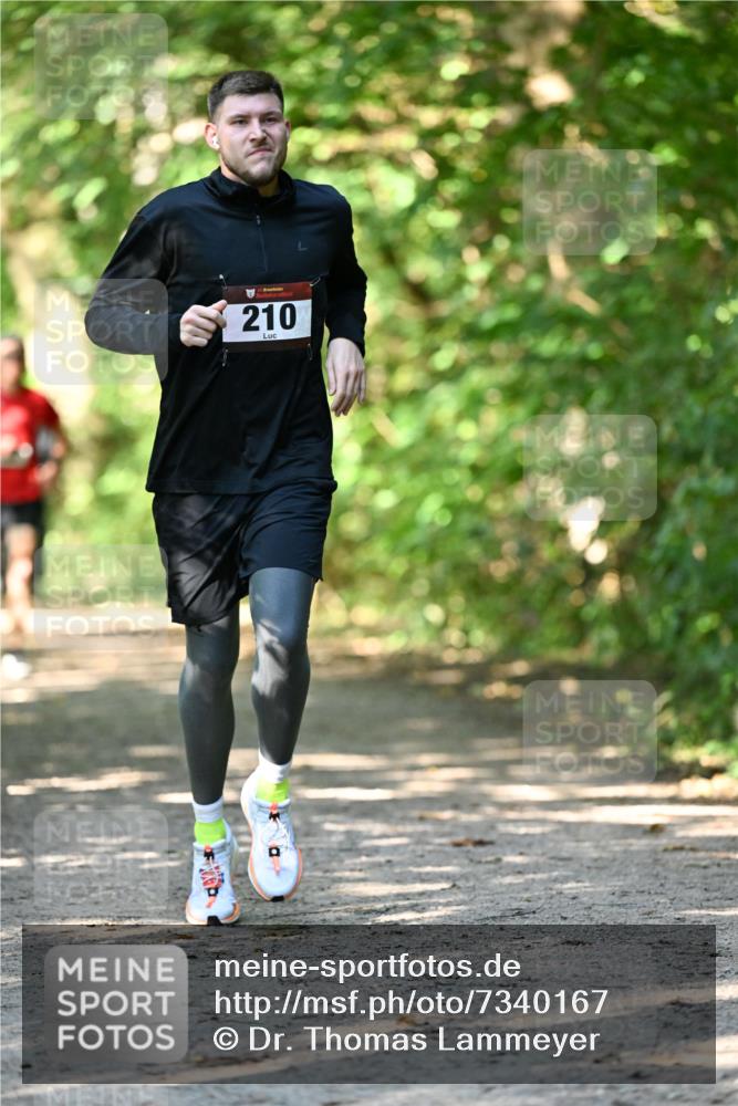 06.10.2024 - Bramfelder Halbmarathon 2024 Dr. Thomas Lammeyer http://msf.ph/oto/7340167 06.10.2024 10:42:01 Laufen 210 meine-sportfotos.de