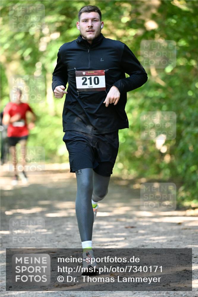 06.10.2024 - Bramfelder Halbmarathon 2024 Dr. Thomas Lammeyer http://msf.ph/oto/7340171 06.10.2024 10:42:01 Laufen 33, 210 meine-sportfotos.de