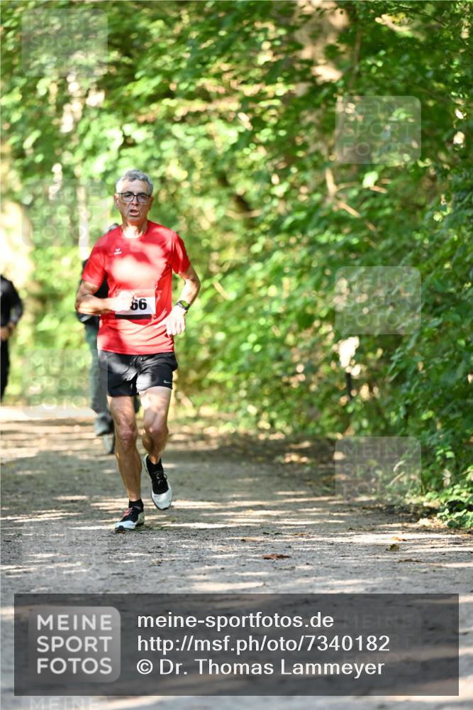 06.10.2024 - Bramfelder Halbmarathon 2024 Dr. Thomas Lammeyer http://msf.ph/oto/7340182 06.10.2024 10:42:05 Laufen 66 meine-sportfotos.de