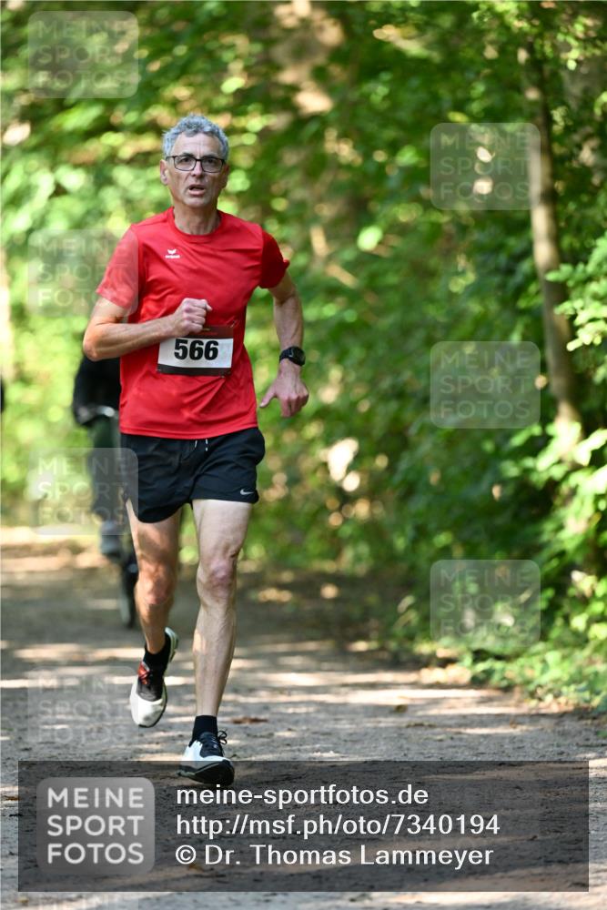 06.10.2024 - Bramfelder Halbmarathon 2024 Dr. Thomas Lammeyer http://msf.ph/oto/7340194 06.10.2024 10:42:06 Laufen 566 meine-sportfotos.de