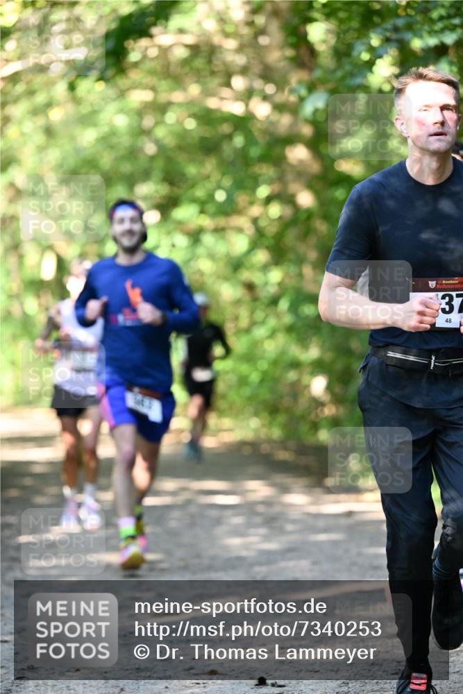 06.10.2024 - Bramfelder Halbmarathon 2024 Dr. Thomas Lammeyer http://msf.ph/oto/7340253 06.10.2024 10:42:21 Laufen 33, 37, 48 meine-sportfotos.de