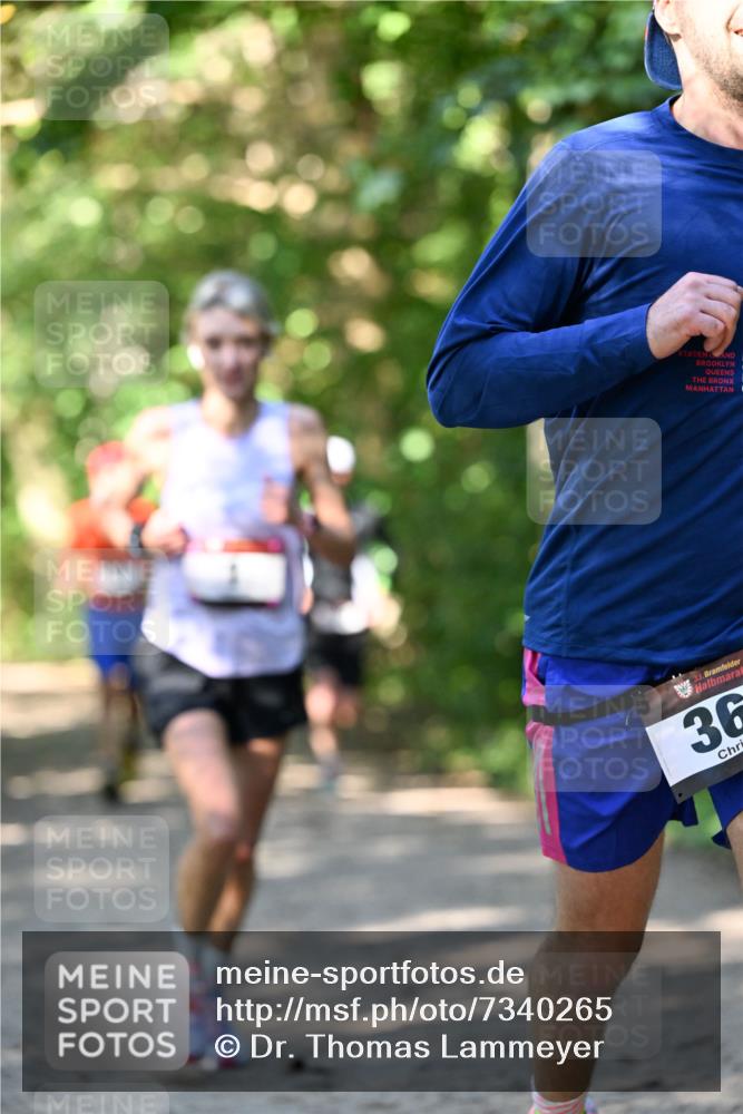06.10.2024 - Bramfelder Halbmarathon 2024 Dr. Thomas Lammeyer http://msf.ph/oto/7340265 06.10.2024 10:42:24 Laufen 33, 36 meine-sportfotos.de