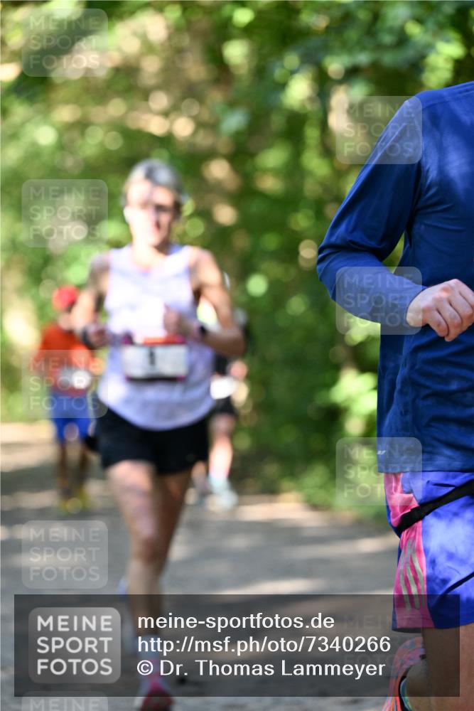 06.10.2024 - Bramfelder Halbmarathon 2024 Dr. Thomas Lammeyer http://msf.ph/oto/7340266 06.10.2024 10:42:24 Laufen  meine-sportfotos.de