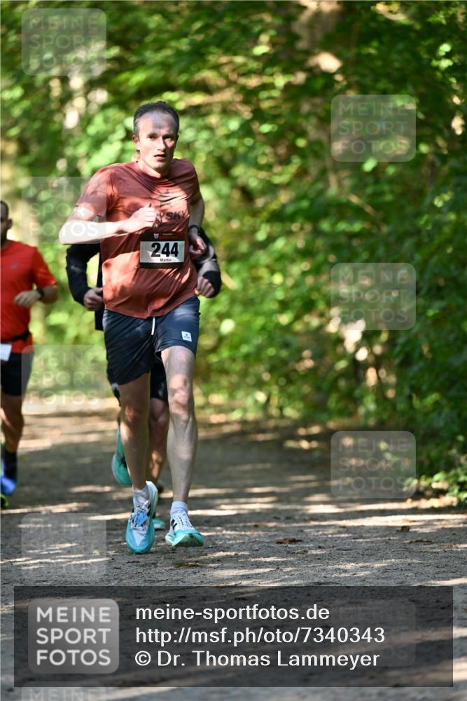 06.10.2024 - Bramfelder Halbmarathon 2024 Dr. Thomas Lammeyer http://msf.ph/oto/7340343 06.10.2024 10:42:56 Laufen 244 meine-sportfotos.de