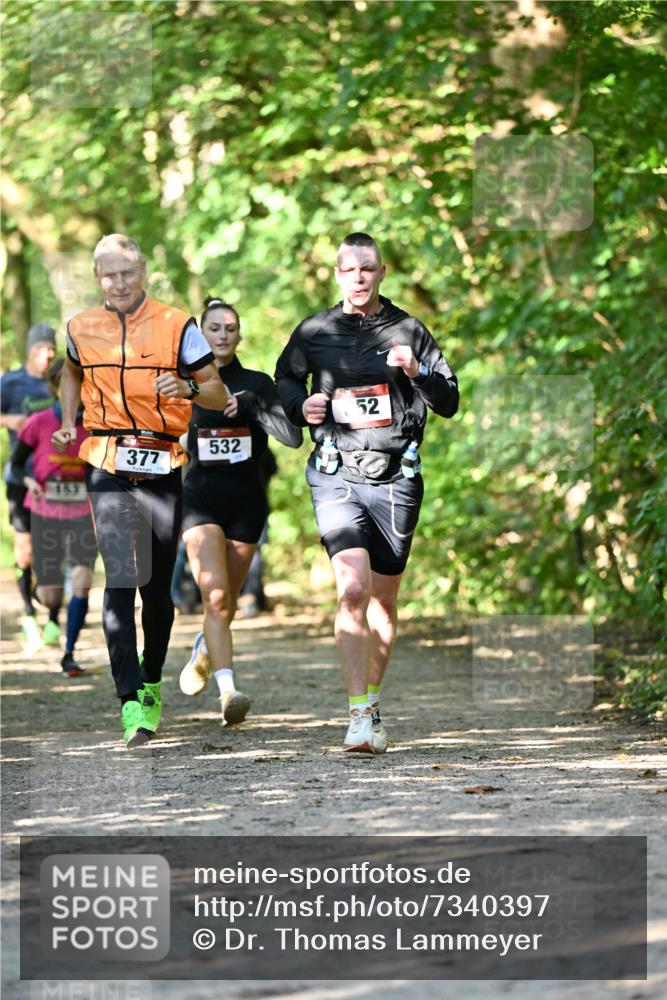 06.10.2024 - Bramfelder Halbmarathon 2024 Dr. Thomas Lammeyer http://msf.ph/oto/7340397 06.10.2024 10:43:43 Laufen 152, 377, 532, 52 meine-sportfotos.de