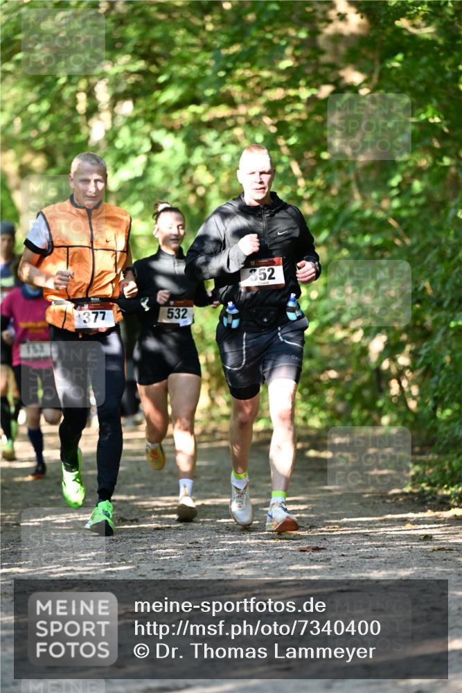 06.10.2024 - Bramfelder Halbmarathon 2024 Dr. Thomas Lammeyer http://msf.ph/oto/7340400 06.10.2024 10:43:44 Laufen 152, 377, 532, 352 meine-sportfotos.de