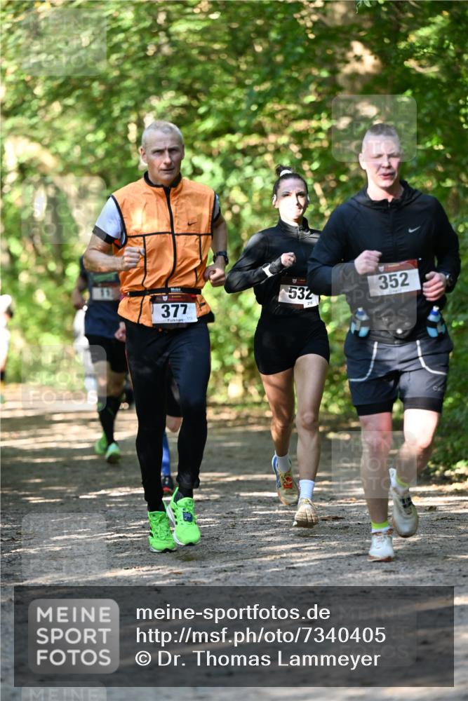 06.10.2024 - Bramfelder Halbmarathon 2024 Dr. Thomas Lammeyer http://msf.ph/oto/7340405 06.10.2024 10:43:45 Laufen 377, 113, 532, 210, 352 meine-sportfotos.de