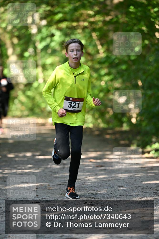06.10.2024 - Bramfelder Halbmarathon 2024 Dr. Thomas Lammeyer http://msf.ph/oto/7340643 06.10.2024 10:45:19 Laufen 321 meine-sportfotos.de