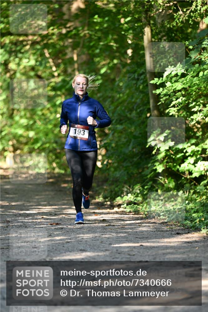 06.10.2024 - Bramfelder Halbmarathon 2024 Dr. Thomas Lammeyer http://msf.ph/oto/7340666 06.10.2024 10:45:49 Laufen 193 meine-sportfotos.de