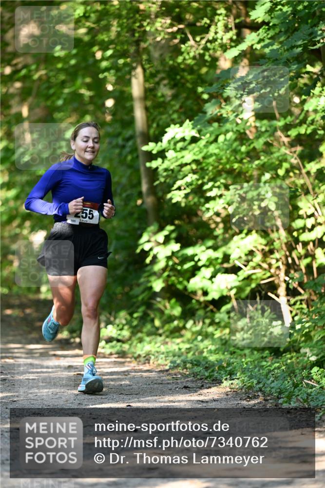 06.10.2024 - Bramfelder Halbmarathon 2024 Dr. Thomas Lammeyer http://msf.ph/oto/7340762 06.10.2024 10:46:14 Laufen 255, 165 meine-sportfotos.de