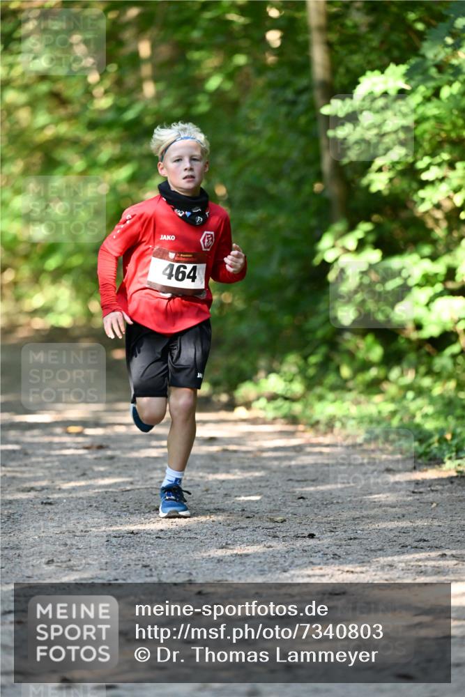 06.10.2024 - Bramfelder Halbmarathon 2024 Dr. Thomas Lammeyer http://msf.ph/oto/7340803 06.10.2024 10:46:25 Laufen 464 meine-sportfotos.de