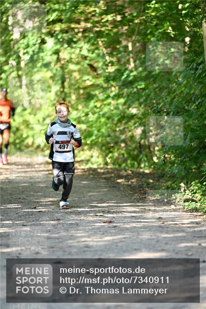 06.10.2024 - Bramfelder Halbmarathon 2024 Dr. Thomas Lammeyer http://msf.ph/oto/7340911 06.10.2024 10:46:59 Laufen 497 meine-sportfotos.de