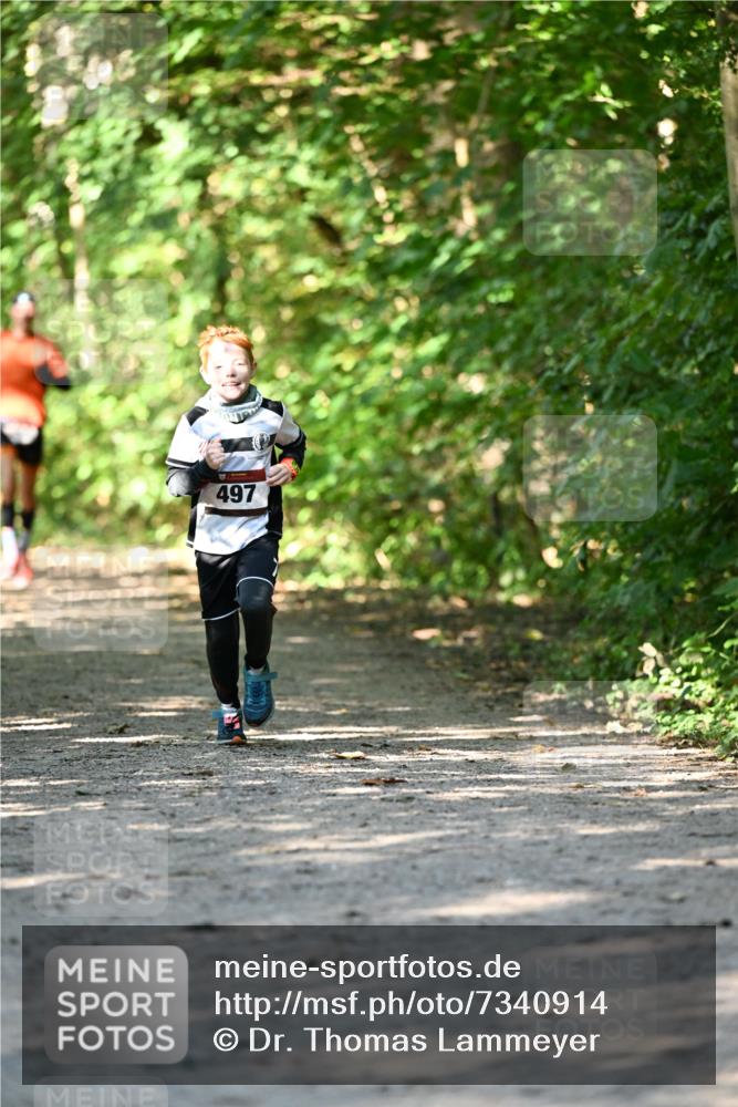 06.10.2024 - Bramfelder Halbmarathon 2024 Dr. Thomas Lammeyer http://msf.ph/oto/7340914 06.10.2024 10:46:59 Laufen 497 meine-sportfotos.de