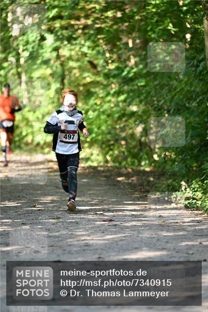 06.10.2024 - Bramfelder Halbmarathon 2024 Dr. Thomas Lammeyer http://msf.ph/oto/7340915 06.10.2024 10:46:59 Laufen 497 meine-sportfotos.de