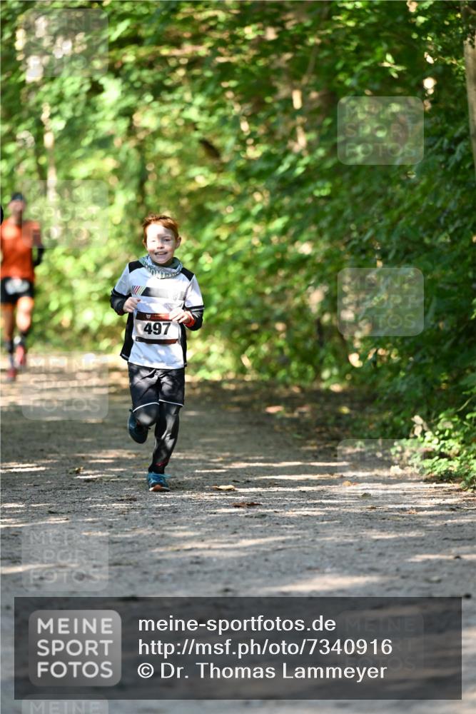 06.10.2024 - Bramfelder Halbmarathon 2024 Dr. Thomas Lammeyer http://msf.ph/oto/7340916 06.10.2024 10:47:00 Laufen 497 meine-sportfotos.de