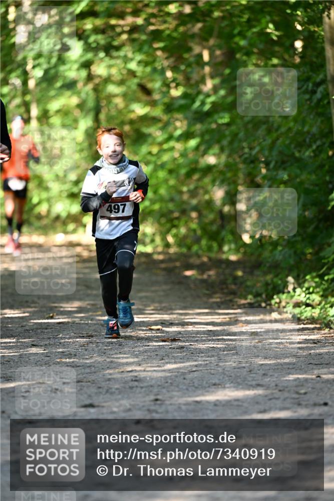 06.10.2024 - Bramfelder Halbmarathon 2024 Dr. Thomas Lammeyer http://msf.ph/oto/7340919 06.10.2024 10:47:00 Laufen 497 meine-sportfotos.de