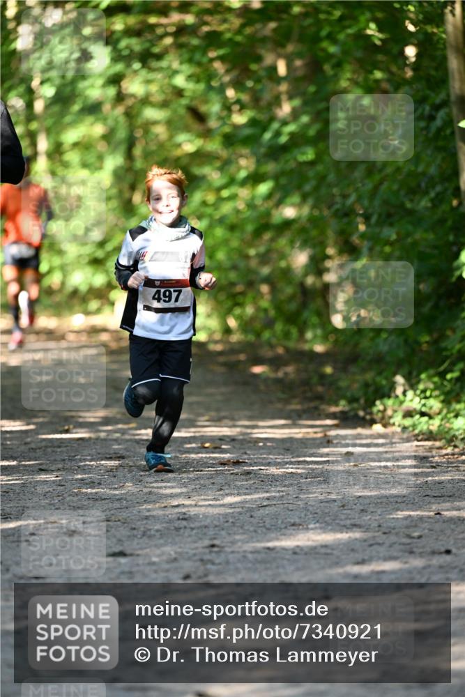 06.10.2024 - Bramfelder Halbmarathon 2024 Dr. Thomas Lammeyer http://msf.ph/oto/7340921 06.10.2024 10:47:00 Laufen 497 meine-sportfotos.de