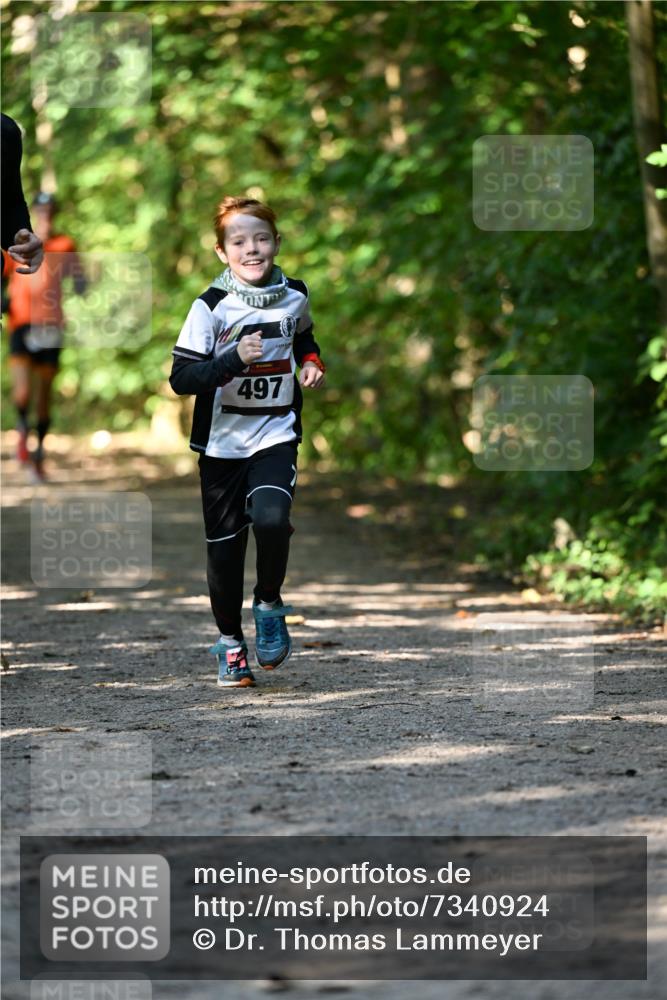 06.10.2024 - Bramfelder Halbmarathon 2024 Dr. Thomas Lammeyer http://msf.ph/oto/7340924 06.10.2024 10:47:01 Laufen 497 meine-sportfotos.de