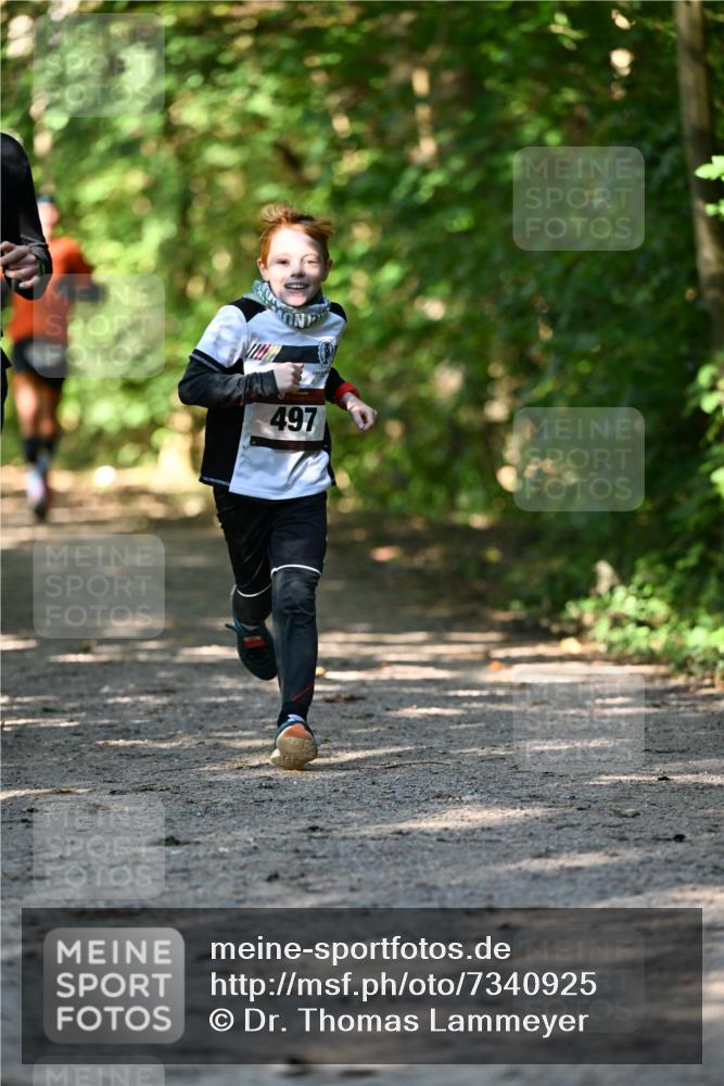 06.10.2024 - Bramfelder Halbmarathon 2024 Dr. Thomas Lammeyer http://msf.ph/oto/7340925 06.10.2024 10:47:01 Laufen 497 meine-sportfotos.de