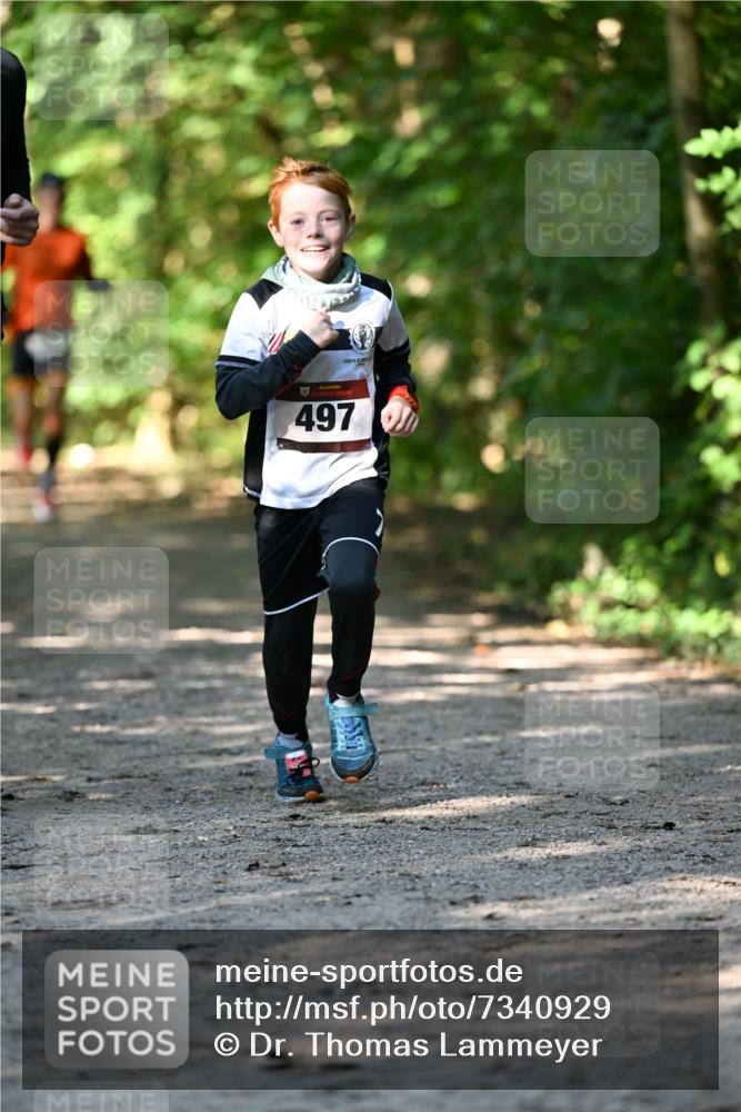 06.10.2024 - Bramfelder Halbmarathon 2024 Dr. Thomas Lammeyer http://msf.ph/oto/7340929 06.10.2024 10:47:01 Laufen 497 meine-sportfotos.de