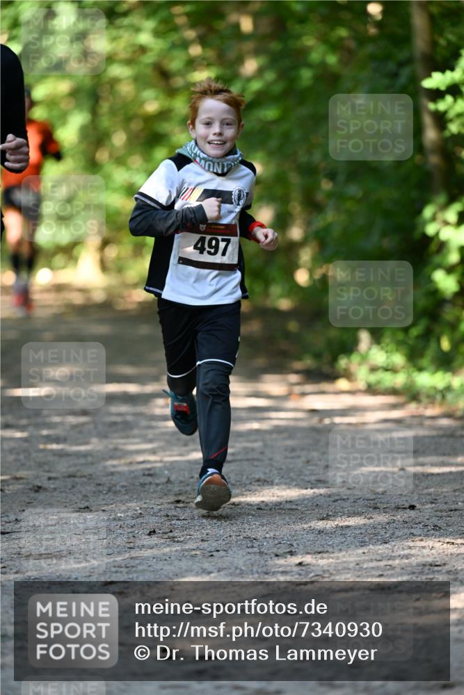 06.10.2024 - Bramfelder Halbmarathon 2024 Dr. Thomas Lammeyer http://msf.ph/oto/7340930 06.10.2024 10:47:01 Laufen 497 meine-sportfotos.de