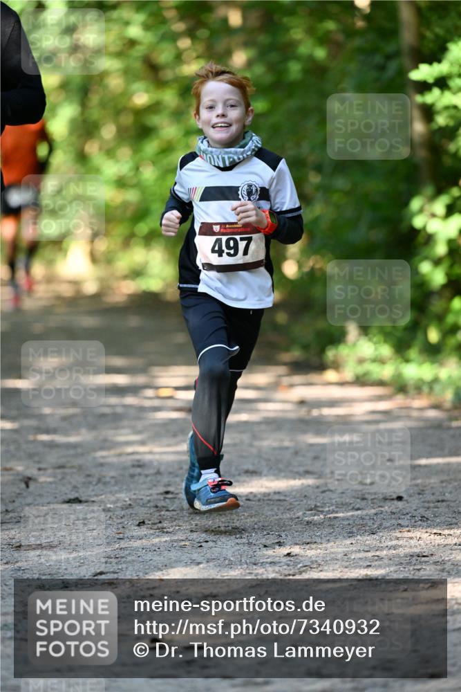 06.10.2024 - Bramfelder Halbmarathon 2024 Dr. Thomas Lammeyer http://msf.ph/oto/7340932 06.10.2024 10:47:02 Laufen 3, 497 meine-sportfotos.de