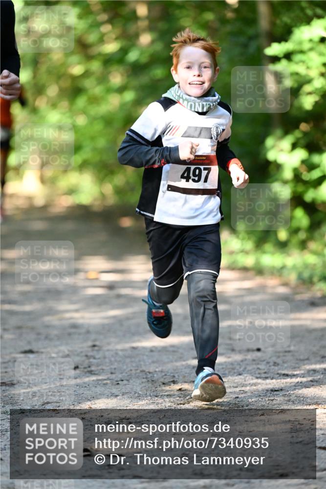 06.10.2024 - Bramfelder Halbmarathon 2024 Dr. Thomas Lammeyer http://msf.ph/oto/7340935 06.10.2024 10:47:02 Laufen 497 meine-sportfotos.de