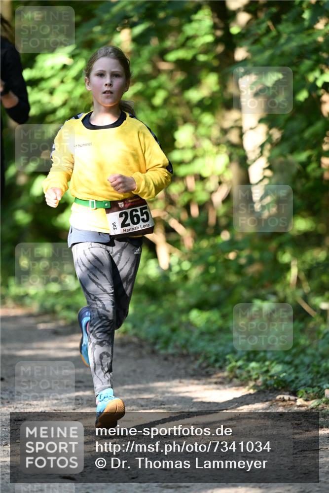 06.10.2024 - Bramfelder Halbmarathon 2024 Dr. Thomas Lammeyer http://msf.ph/oto/7341034 06.10.2024 10:47:33 Laufen 208, 33, 265 meine-sportfotos.de