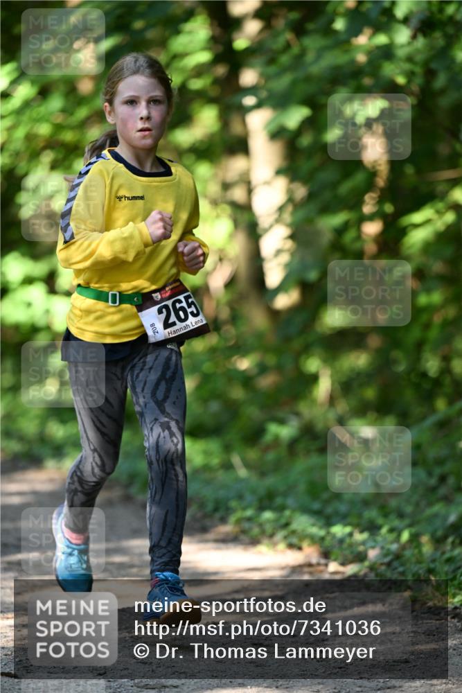 06.10.2024 - Bramfelder Halbmarathon 2024 Dr. Thomas Lammeyer http://msf.ph/oto/7341036 06.10.2024 10:47:33 Laufen 265 meine-sportfotos.de