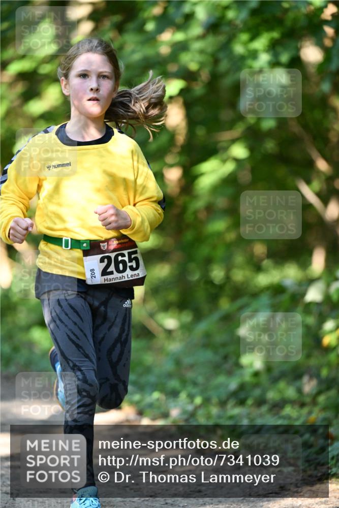 06.10.2024 - Bramfelder Halbmarathon 2024 Dr. Thomas Lammeyer http://msf.ph/oto/7341039 06.10.2024 10:47:34 Laufen 208, 33, 265 meine-sportfotos.de