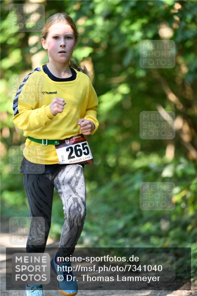 06.10.2024 - Bramfelder Halbmarathon 2024 Dr. Thomas Lammeyer http://msf.ph/oto/7341040 06.10.2024 10:47:34 Laufen 208, 265 meine-sportfotos.de