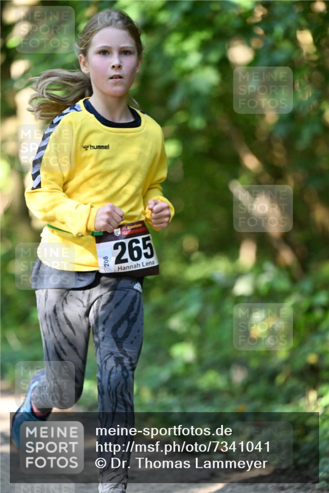 06.10.2024 - Bramfelder Halbmarathon 2024 Dr. Thomas Lammeyer http://msf.ph/oto/7341041 06.10.2024 10:47:34 Laufen 208, 265 meine-sportfotos.de