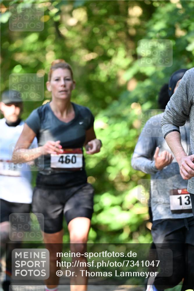 06.10.2024 - Bramfelder Halbmarathon 2024 Dr. Thomas Lammeyer http://msf.ph/oto/7341047 06.10.2024 10:47:36 Laufen 460, 13 meine-sportfotos.de