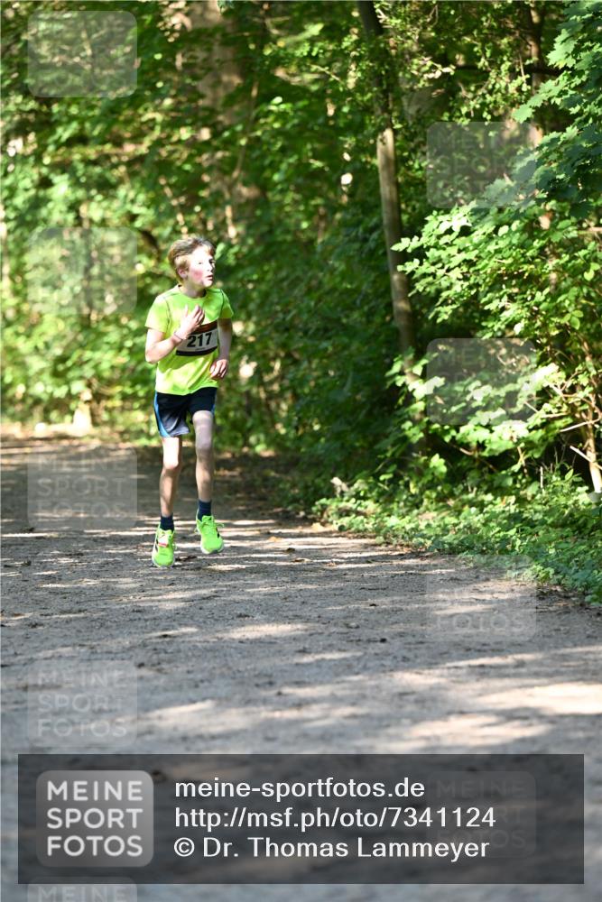 06.10.2024 - Bramfelder Halbmarathon 2024 Dr. Thomas Lammeyer http://msf.ph/oto/7341124 06.10.2024 10:48:04 Laufen 217 meine-sportfotos.de