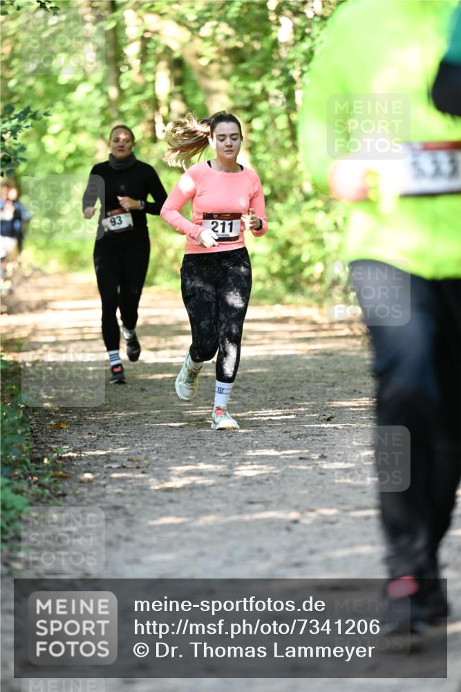 06.10.2024 - Bramfelder Halbmarathon 2024 Dr. Thomas Lammeyer http://msf.ph/oto/7341206 06.10.2024 10:48:26 Laufen 93, 211 meine-sportfotos.de
