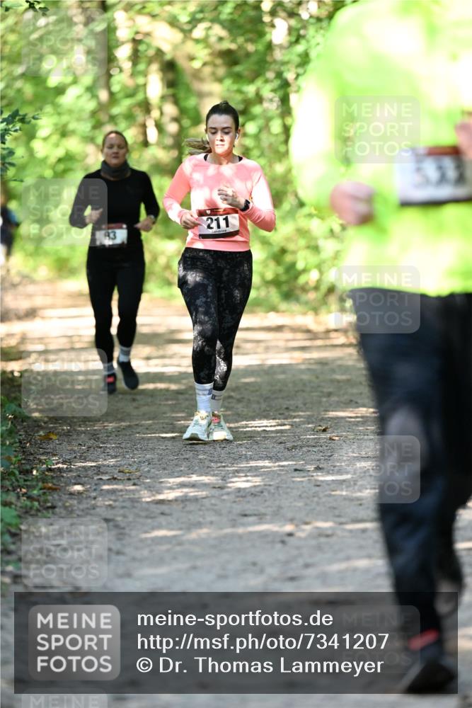 06.10.2024 - Bramfelder Halbmarathon 2024 Dr. Thomas Lammeyer http://msf.ph/oto/7341207 06.10.2024 10:48:26 Laufen 211 meine-sportfotos.de